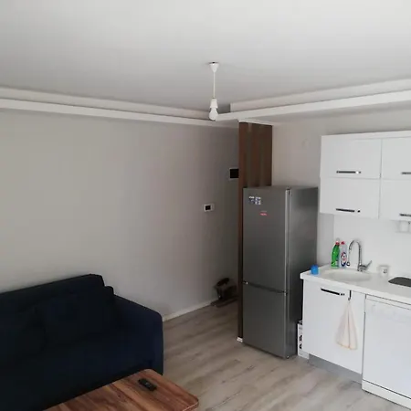 Plaja Ve Merkeze Araçla 8 Dakika 1+1 Daire